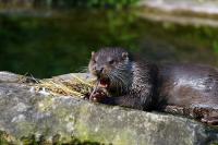 IMG_5370-11.jpg
