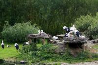 IMG_7674.jpg