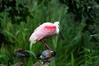 IMG_7796.jpg