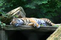 IMG_7941.jpg