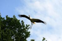 IMG_8134.jpg