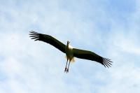 IMG_8157.jpg