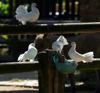 IMG_9591.jpg