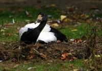 IMG_1066.jpg