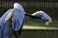 IMG_2794.jpg