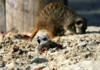 IMG_3114.jpg