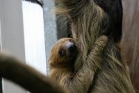 IMG_4123-1.jpg
