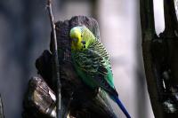 IMG_4451-1.jpg