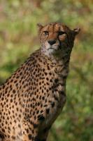 IMG_5561.jpg