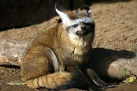 IMG_5402.jpg