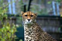IMG_6139.jpg