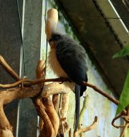 IMG_6832.jpg