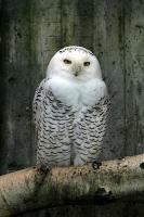 IMG_2218-1.jpg