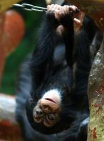 IMG_9001-11.jpg