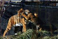 IMG_0567-11.jpg