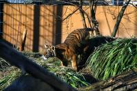 IMG_0613-11.jpg