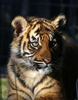 IMG_0727-11.jpg