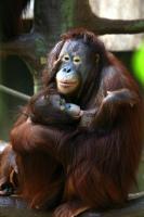 IMG_0976-11.jpg