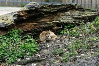 IMG_2830-1.jpg