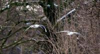 IMG_2055-11.jpg