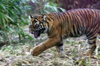 IMG_5365-11.jpg