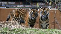IMG_5888-11.jpg