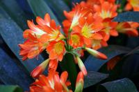 IMG_7292-11.jpg