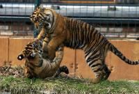 IMG_7528-11.jpg