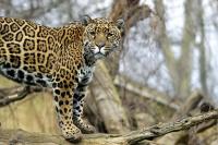 IMG_0306-11.jpg