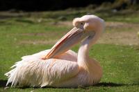IMG_1137-11.jpg
