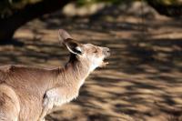 IMG_1400-11.jpg
