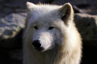 IMG_0874-11.jpg