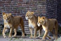 IMG_0969-11.jpg