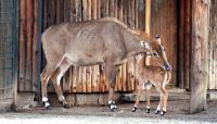 IMG_2011-11.jpg