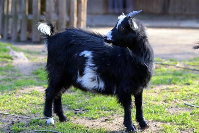 IMG_2355-11.jpg