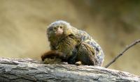 IMG_5454-11.jpg