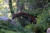 IMG_7092-1.jpg