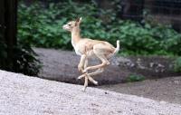 IMG_0911-1.jpg
