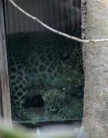 IMG_0285-1.jpg