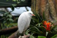 IMG_0328-1.jpg