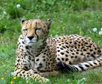 IMG_0447-1.jpg
