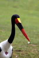IMG_9837-1.jpg