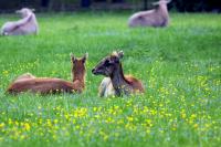 IMG_6960-1.jpg