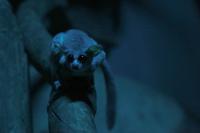 IMG_7235-1.jpg