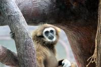 IMG_7455-1.jpg