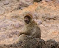 IMG_7584-1.jpg