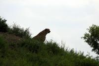 IMG_7664-1.jpg