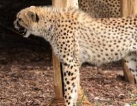 IMG_7714-1.jpg
