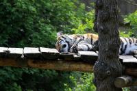 IMG_7988-1.jpg