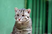 IMG_8001-1.jpg